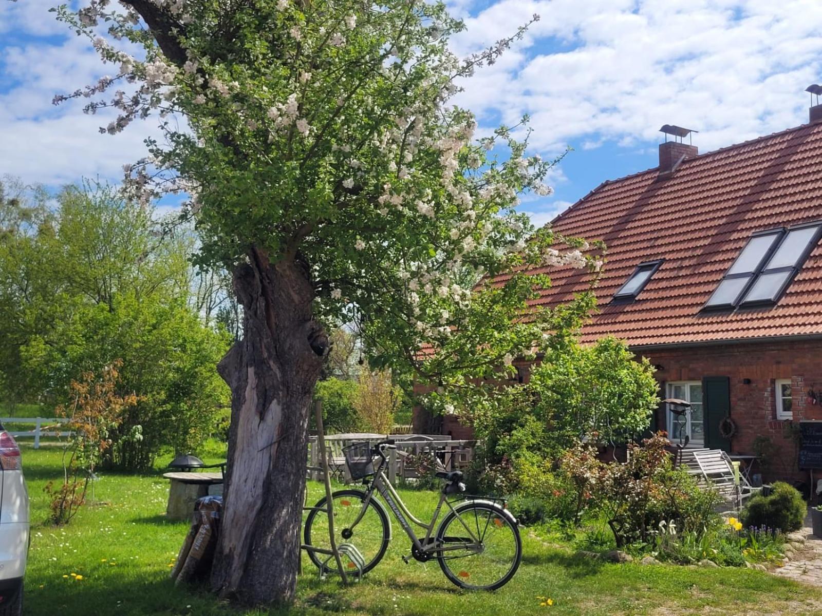 Seminar Und Landhaus Schoenbeck Schonbeck  Екстериор снимка
